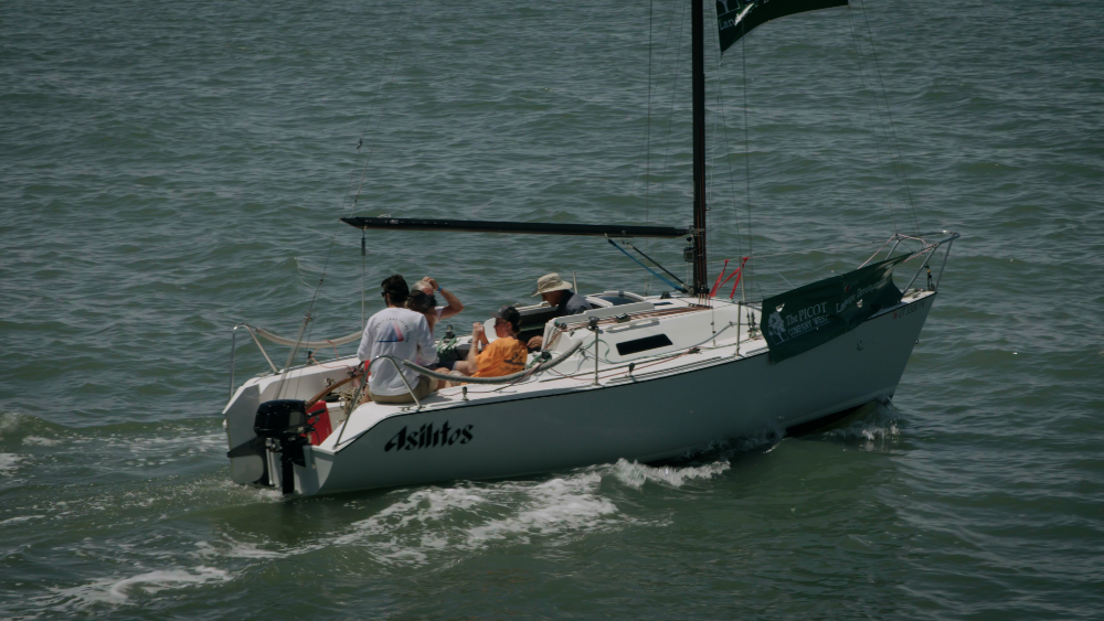 Sailfest 2024 GRADED.00_56_03_20.Still038