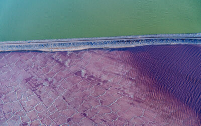 Background_Pink_GSL_Photo-400x250