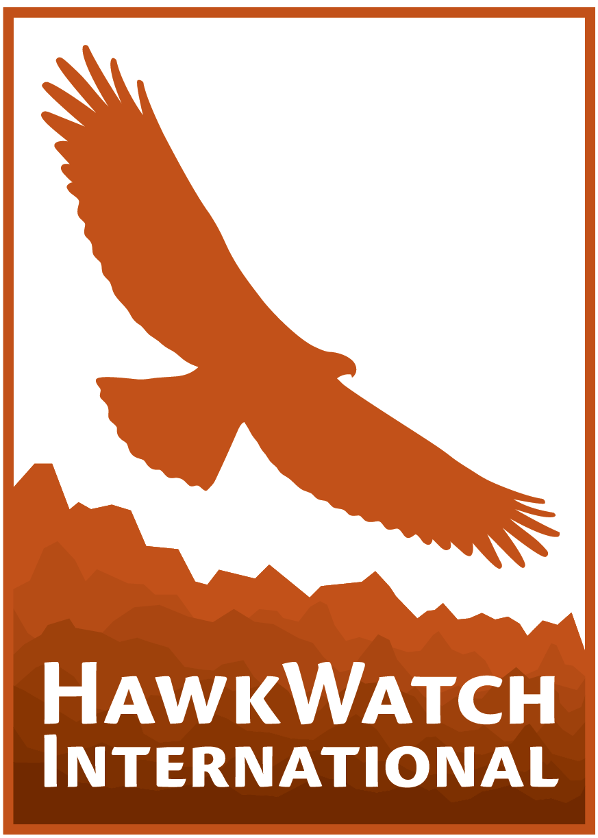 Hawkwatch