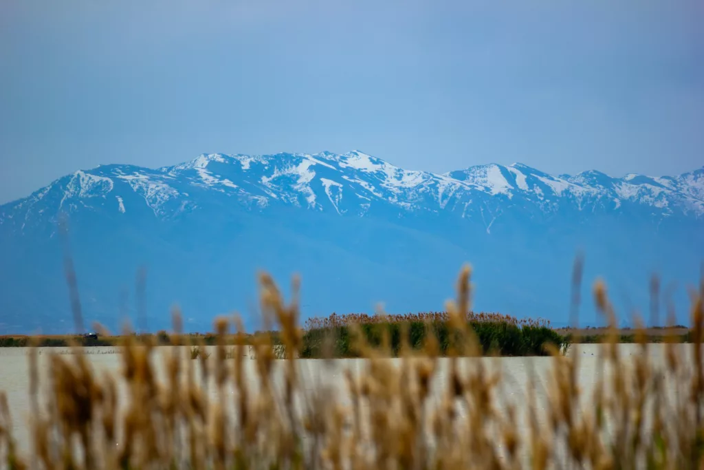 mountains behind great salt lake