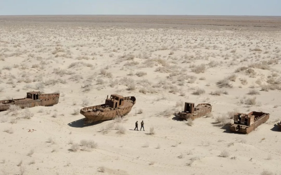 Overview of the Aral Sea disaster