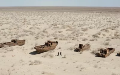 Overview of the Aral Sea disaster
